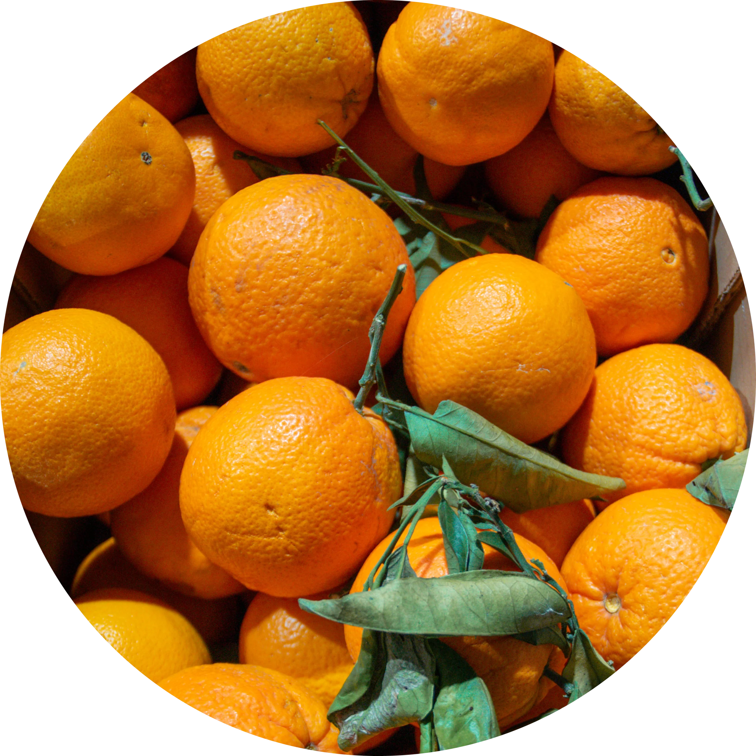 oranges déclassées
