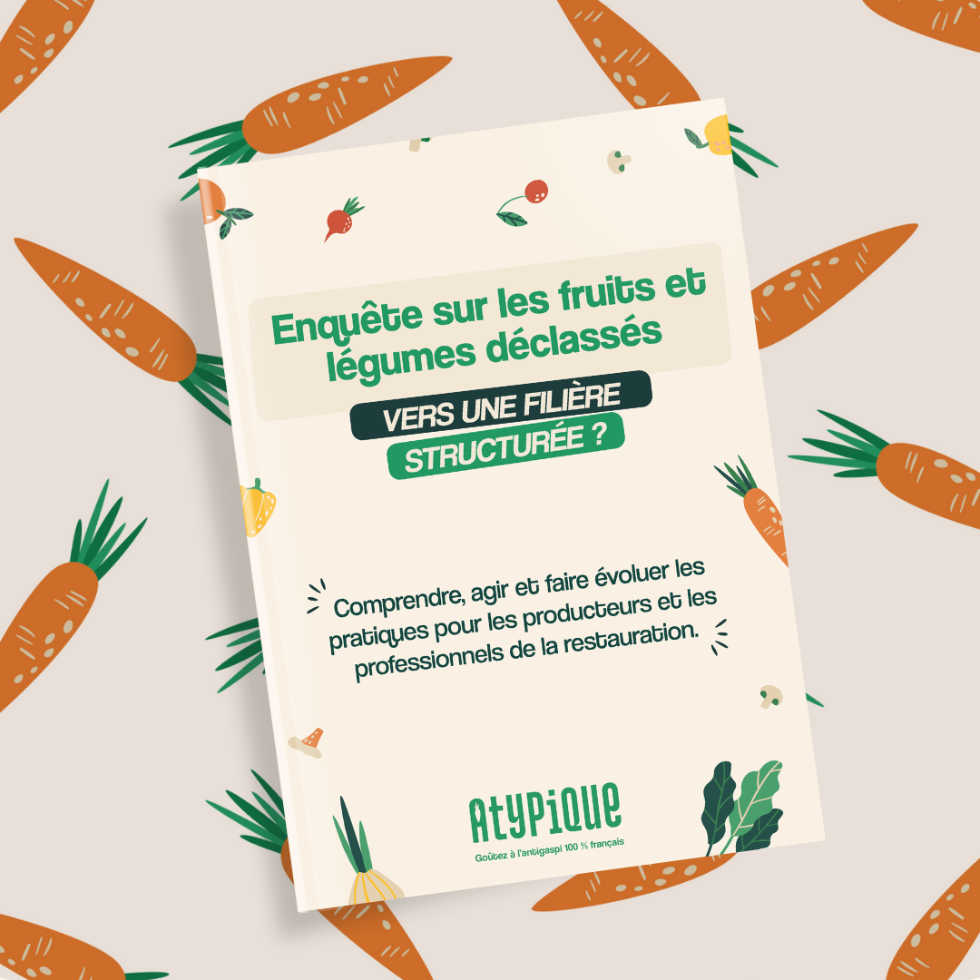 Livre blanc_couverture téléchargement